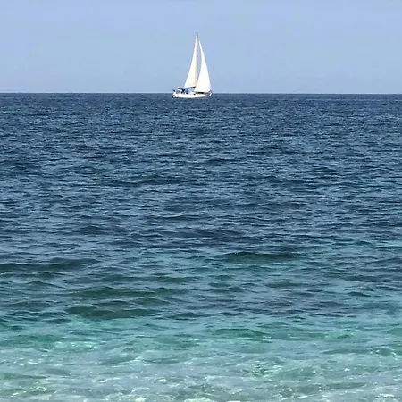 Bilo 4 Premium * Palau